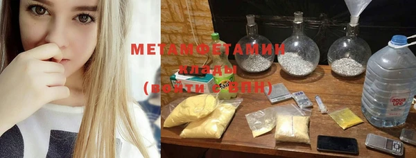 прущие грибы Балабаново