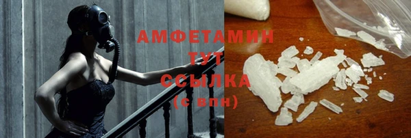 прущие грибы Балабаново