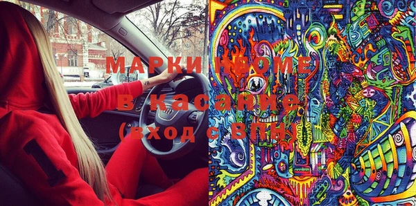 прущие грибы Балабаново