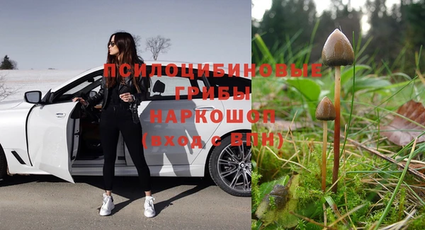 ешки Балахна