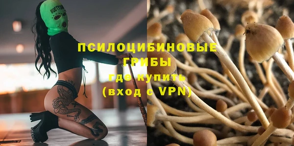 прущие грибы Балабаново